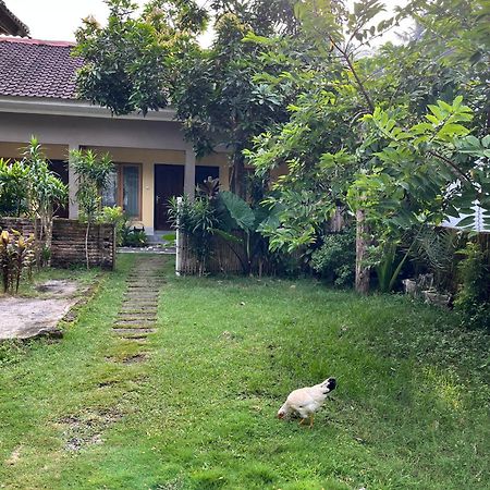 Honey Home Kuta  Εξωτερικό φωτογραφία