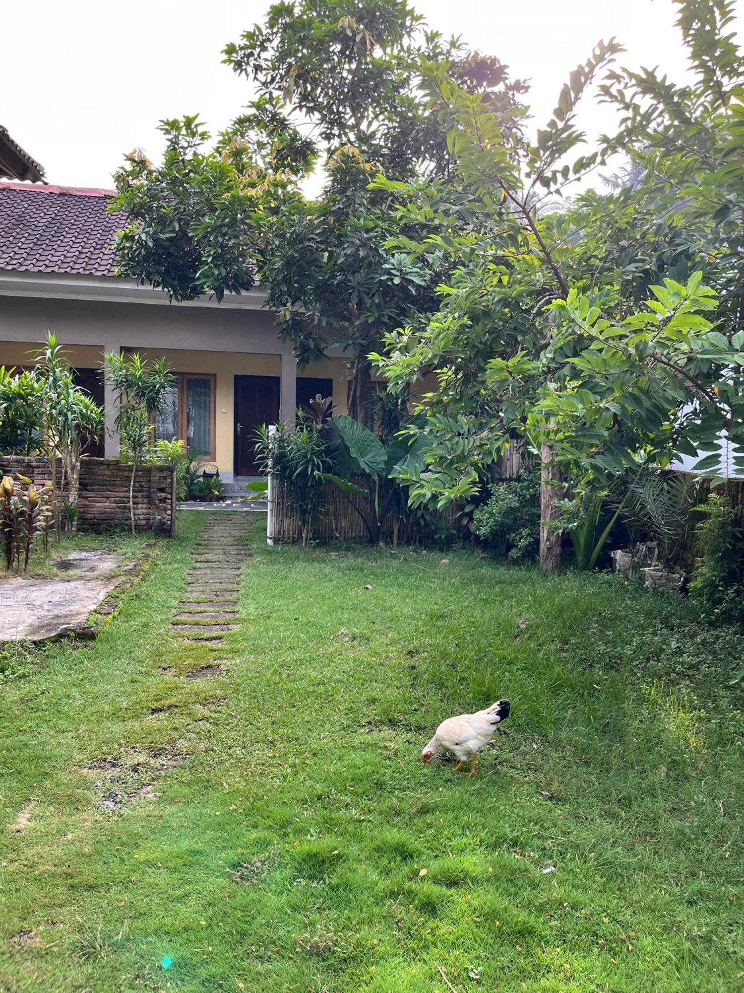 Honey Home Kuta  Εξωτερικό φωτογραφία