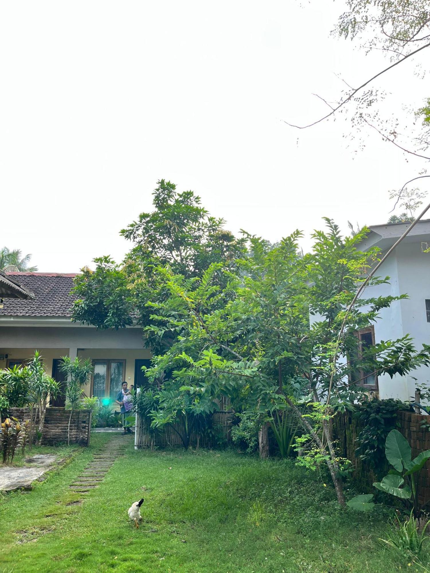 Honey Home Kuta  Εξωτερικό φωτογραφία